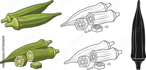 Illustration of okra pods and slices for culinary purposes