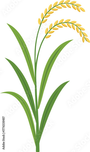 Vibrant golden rice stalks sway gently, embodying agricultural abundance and the promise of a bountiful harvest.