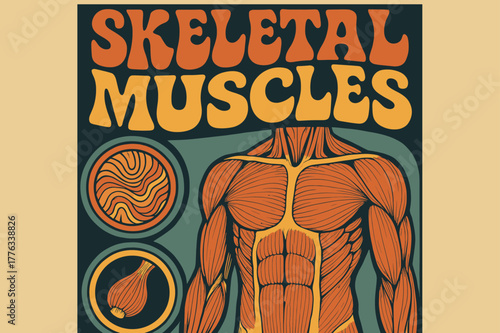 Groovy Muscle Poster. 70s Poster ? "Skeletal Muscles" in funky wavy stacked font, warm gradient fills, concentric circle motifs with swirling fiber and muscle
