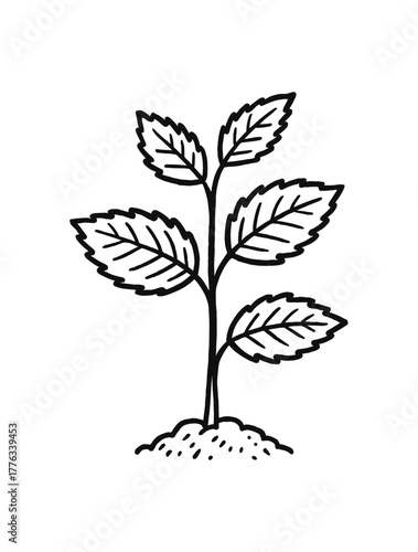 handdrawn cute doodle style elm sapling vector line illustration