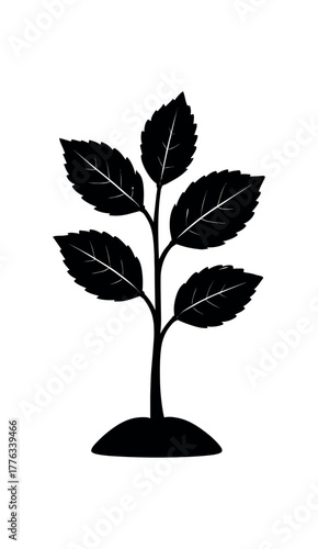 elm sapling flat black solid vector illustration isolated on white background