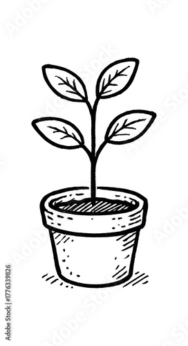 handdrawn cute doodle style tree sapling pot vector line illustration