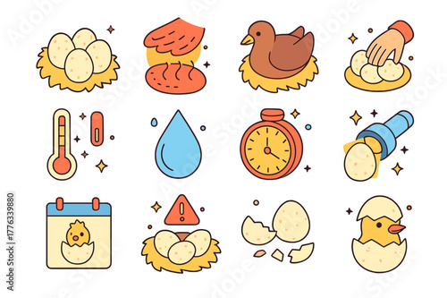 Egg Incubation Icons. egg care and incubation. Colorful isometric vector icons set of egg care and incubation: clutch of eggs, brood patch warmth, incubating