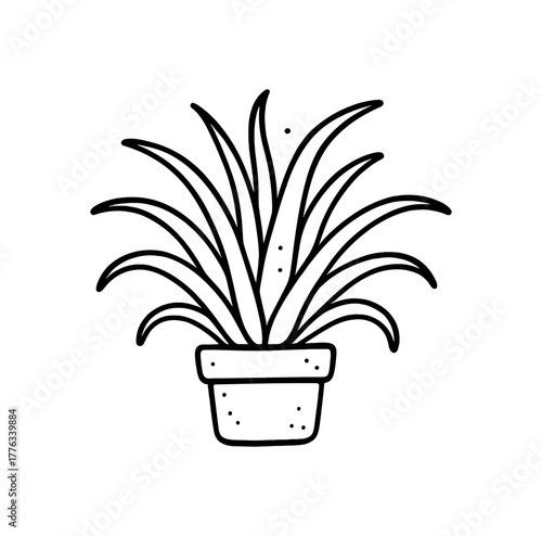 handdrawn cute doodle style home air plant vector line illustration