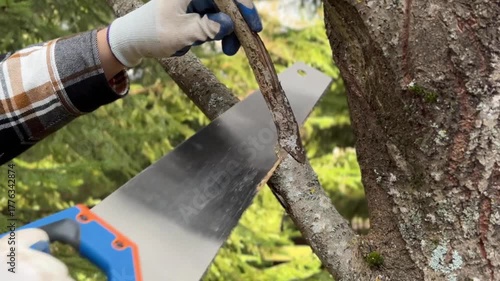A man cuts tree branches with a handsaw