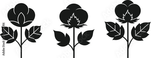 Cotton plant vector illustration black and white design set