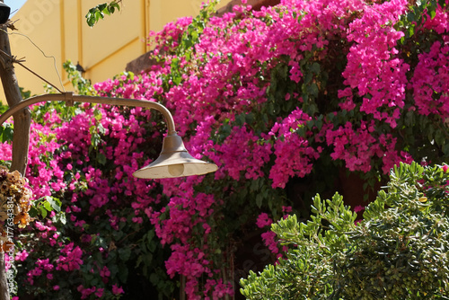 Lampioni stradali vintage, per i vicoli di una città dell'isola di Creta