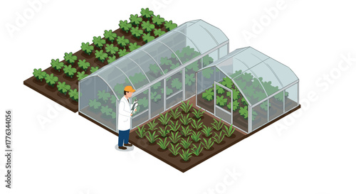 Isometric greenhouse farming scene with scientist analyzing plant growth and crops