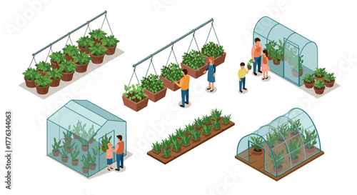 Greenhouse gardening set family exploring various plant growing techniques in isometric design