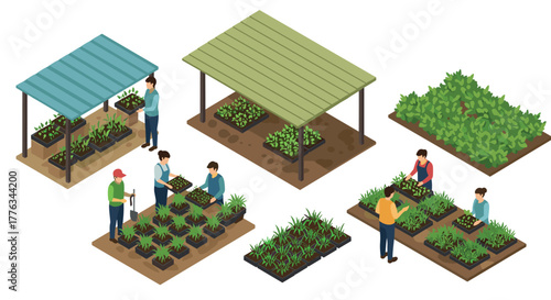 Isometric urban farming community gardens and vegetables in raised beds