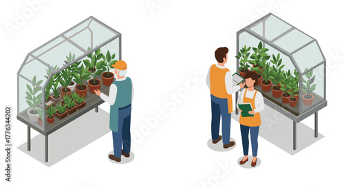 Isometric greenhouse gardening people caring for indoor plants and herbs