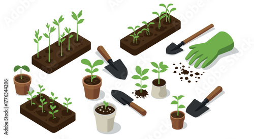 Isometric gardening tools and seedlings set for spring planting