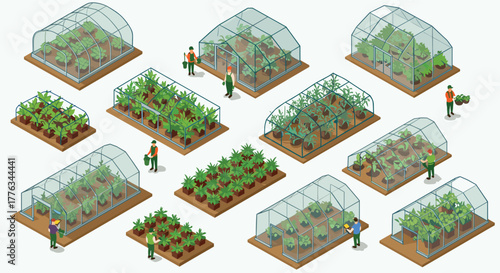 Isometric greenhouse farming with diverse crops and gardeners in action
