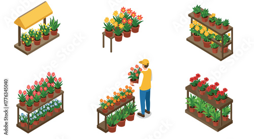 Isometric plant nursery man tending to colorful potted flowers on display shelves
