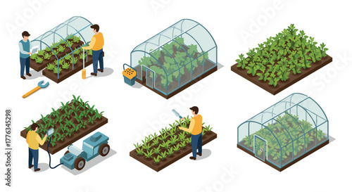 People working in greenhouses with lush plants and gardening tools in an isometric style
