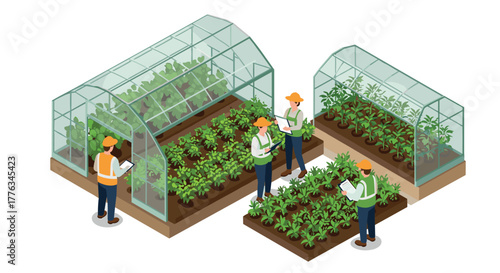 Sustainable farming practices in modern greenhouses with farmers working in isometric style