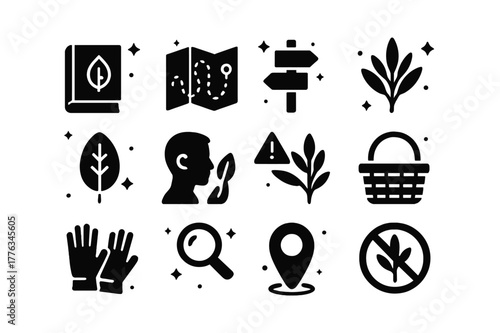 Sage Foraging Icons. Wild foraging and identification of sage. Solid icons set of Wild foraging and identification of sage: field guide book, terrain map,