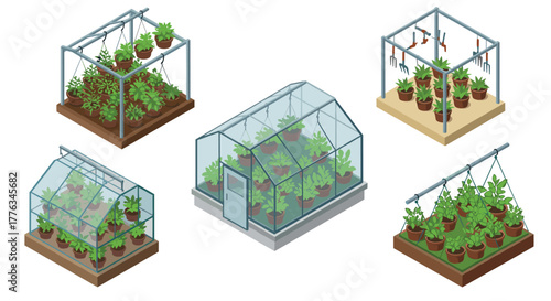 Isometric greenhouse set with lush plants and gardening tools