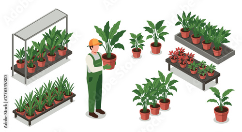 Gardener tending to potted plants in isometric greenhouse setting