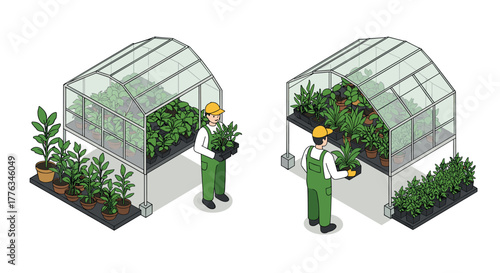 Gardeners tending to plants in a greenhouse isometric view for horticulture and agriculture concepts