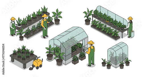 Isometric greenhouse gardening with farmers and lush plants
