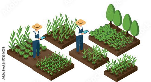 Isometric farming concept with farmers using tablets in vegetable and crop garden