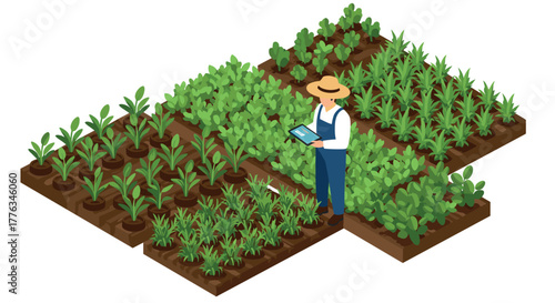 Isometric smart farming concept with farmer analyzing crops using digital tablet in vegetable garden