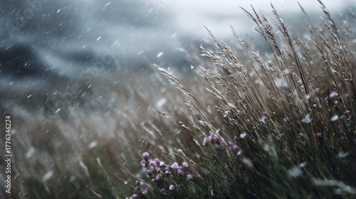 A serene winter landscape with tall grasses and purple wildflowers dusted by falling snow