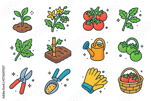 Tomato Plant Icons. Tomato plant. Colorful isometric vector icons set of Tomato plant: young tomato seedling, flowering tomato vine, ripe red tomato cluster,