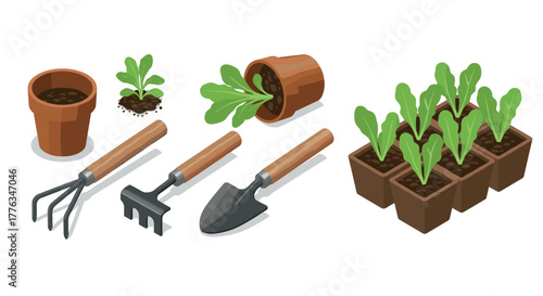Isometric gardening tools and seedlings planting essentials and greenery
