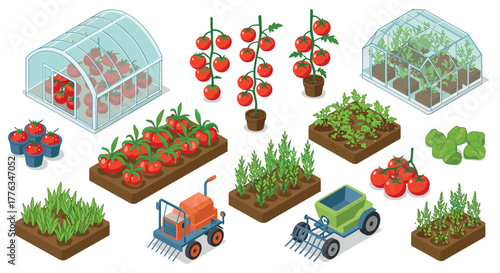 Isometric greenhouse and garden farming with vegetables and equipment