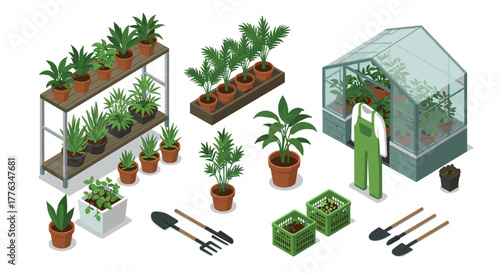 Isometric indoor gardening scene with plants, greenhouse, and tools