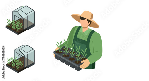 Gardener holding seedlings in isometric greenhouse