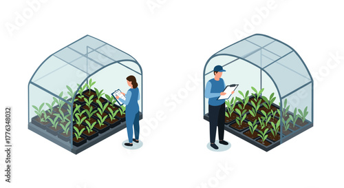 Isometric greenhouse and farmers analyzing crop growth with tablets