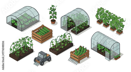 Isometric greenhouses and agricultural elements with vegetables and plants
