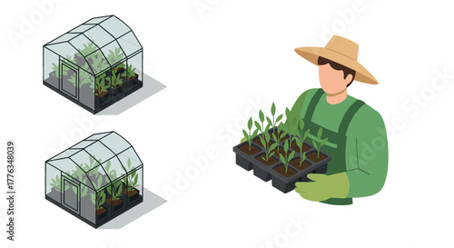 Gardener with seedlings and mini greenhouses isometric design