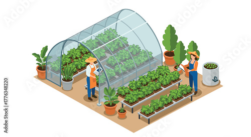 Isometric greenhouse farming with people caring for plants in urban garden