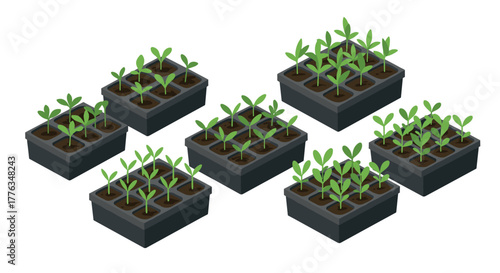 Isometric seedling trays with young plants in soil for gardening