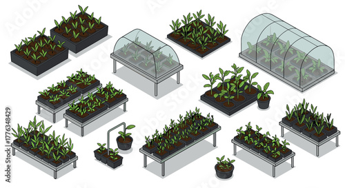 Isometric greenhouse seedlings in various growing trays and shelves