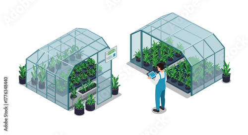 Isometric greenhouse with lush plants and gardener using digital tablet for monitoring