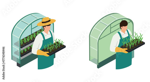 Isometric greenhouse workers holding seedlings for sustainable farming