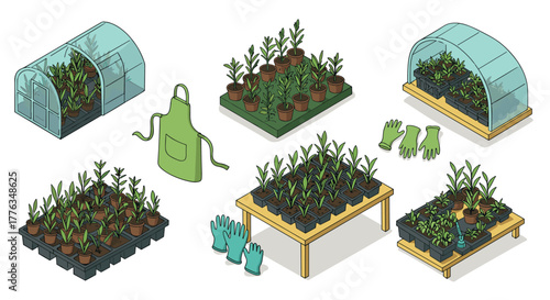 Greenhouse gardening tools and plants set in isometric style