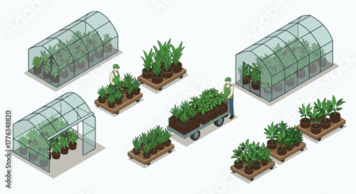 Isometric greenhouse scene with workers and potted plants
