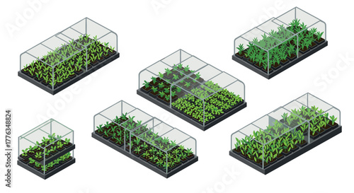 Isometric greenhouse kits with transparent covers and lush plant growth