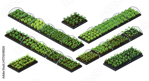 Isometric vegetable garden beds with greenhouse covers and lush plants