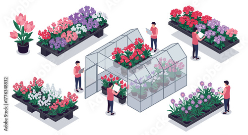 Isometric greenhouse and flower nursery with diverse blooms and gardeners
