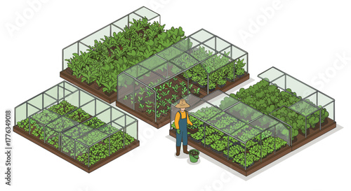 Isometric urban farming with greenhouses and farmer in action