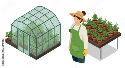 Isometric greenhouse and gardener with potted plants in sustainable agriculture scene