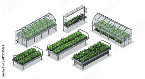 Isometric greenhouse and planters with lush vegetables