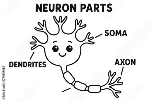Neuron Anatomy Coloring Fun. Neuron parts children?s coloring book illustration, outlined drawing, labeled diagram showing soma, dendrites, and axon with